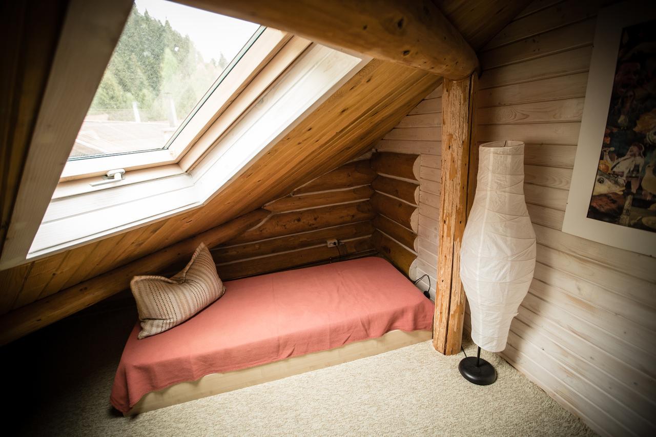 Cabana Jasmin Băile Chirui エクステリア 写真