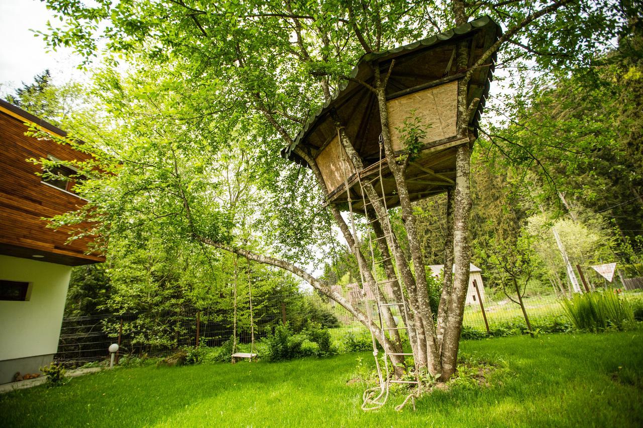 Cabana Jasmin Băile Chirui エクステリア 写真